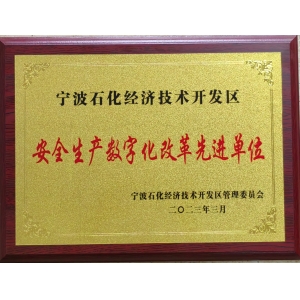 安全生產數(shù)字化改革先進單位